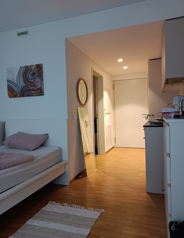 1.5 Zimmer-Wohnung Zürich