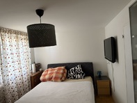 WG 1 Zimmer eigenes Bad ganze Wohnung benutzbar, 1 Hund