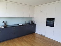 3.5room apartment in Thalwil 
